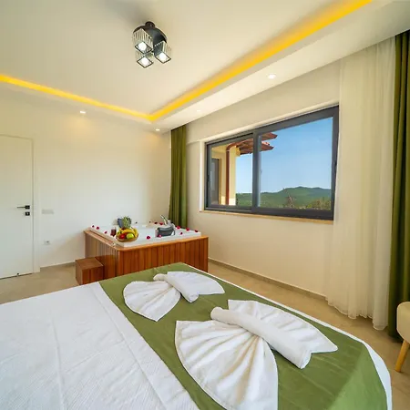 Suel&sar 2 Villa *